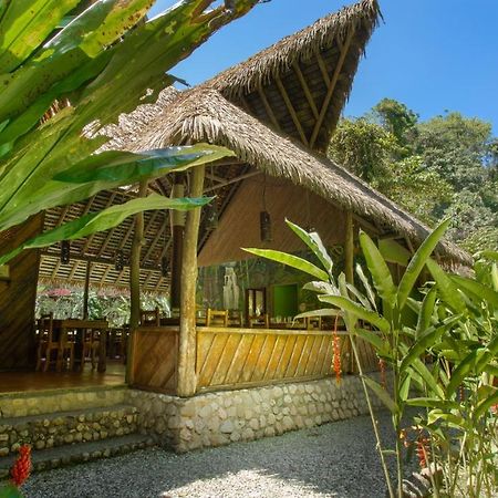 Esquinas Rainforest Lodge Golfito Eksteriør billede