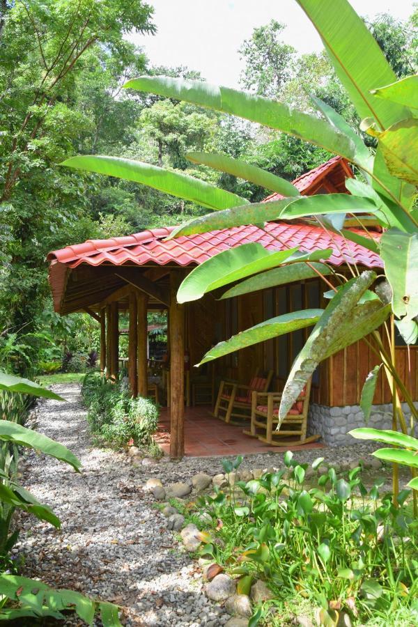 Esquinas Rainforest Lodge Golfito Eksteriør billede