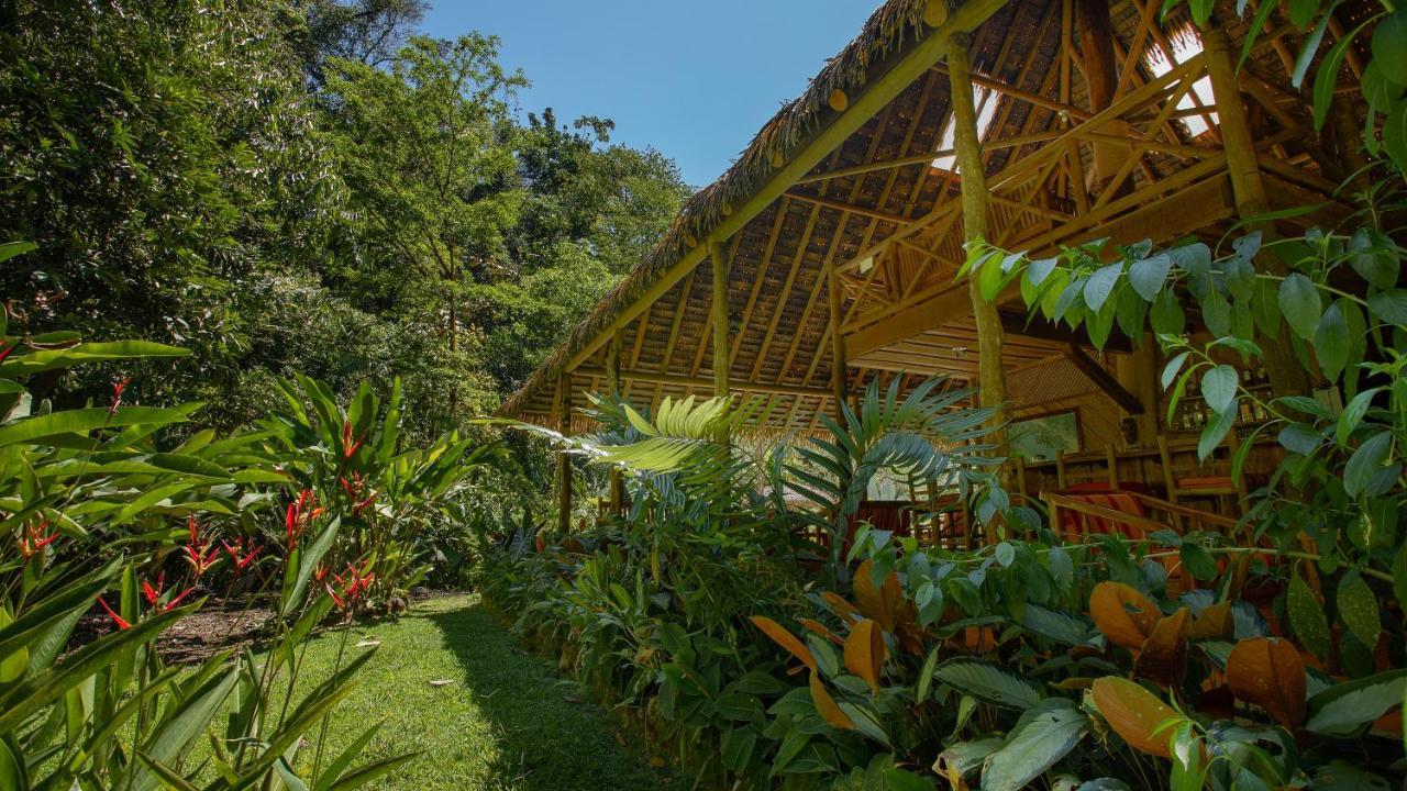 Esquinas Rainforest Lodge Golfito Eksteriør billede