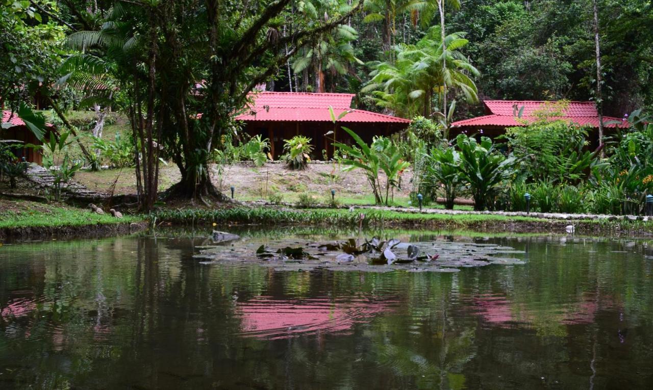 Esquinas Rainforest Lodge Golfito Eksteriør billede