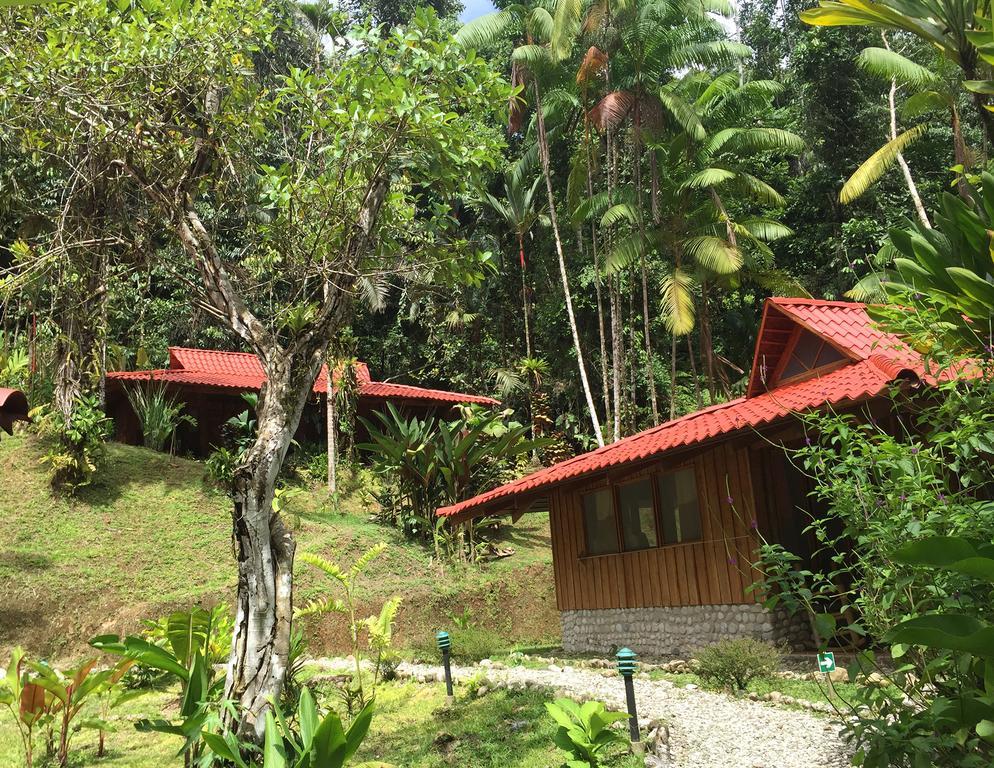 Esquinas Rainforest Lodge Golfito Eksteriør billede