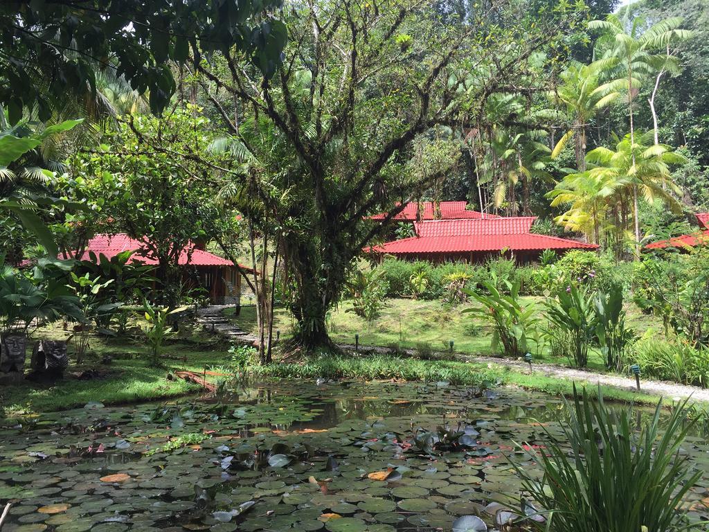 Esquinas Rainforest Lodge Golfito Eksteriør billede
