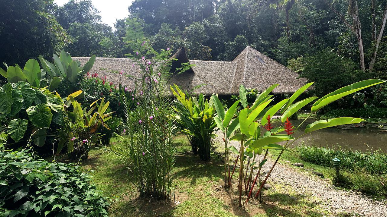 Esquinas Rainforest Lodge Golfito Eksteriør billede