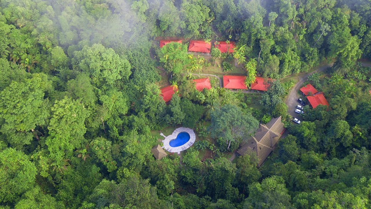 Esquinas Rainforest Lodge Golfito Eksteriør billede