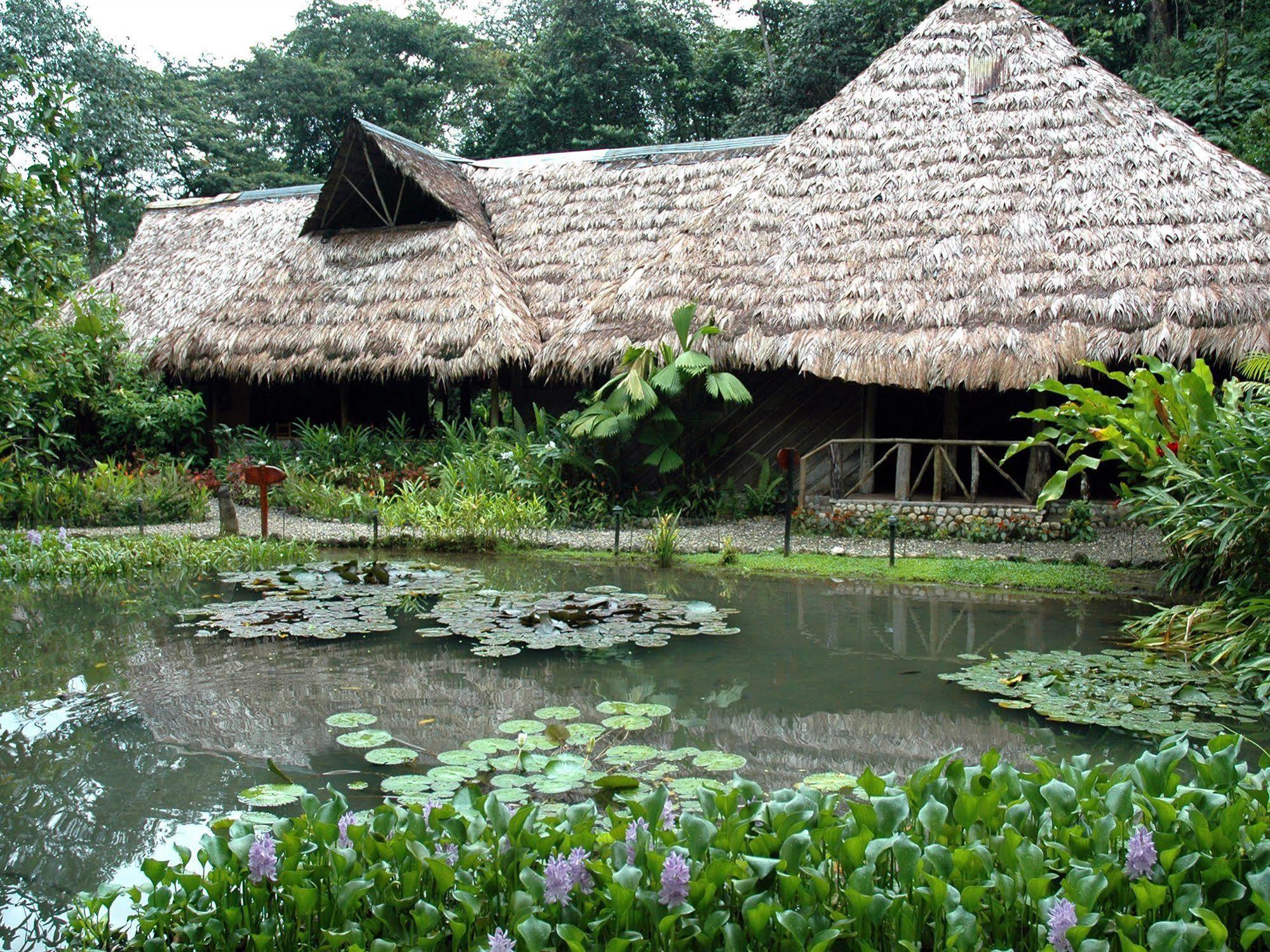 Esquinas Rainforest Lodge Golfito Eksteriør billede