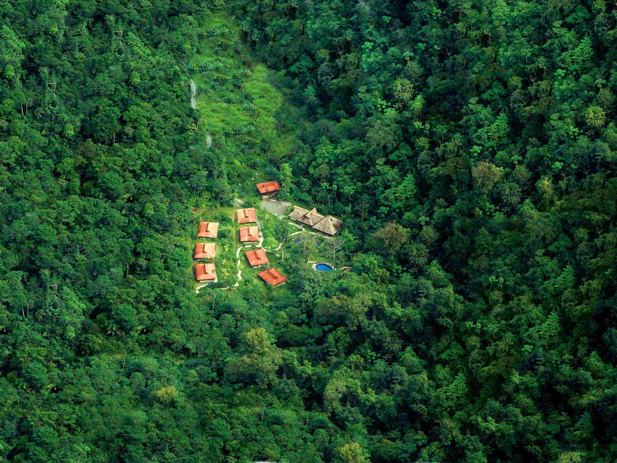 Esquinas Rainforest Lodge Golfito Eksteriør billede