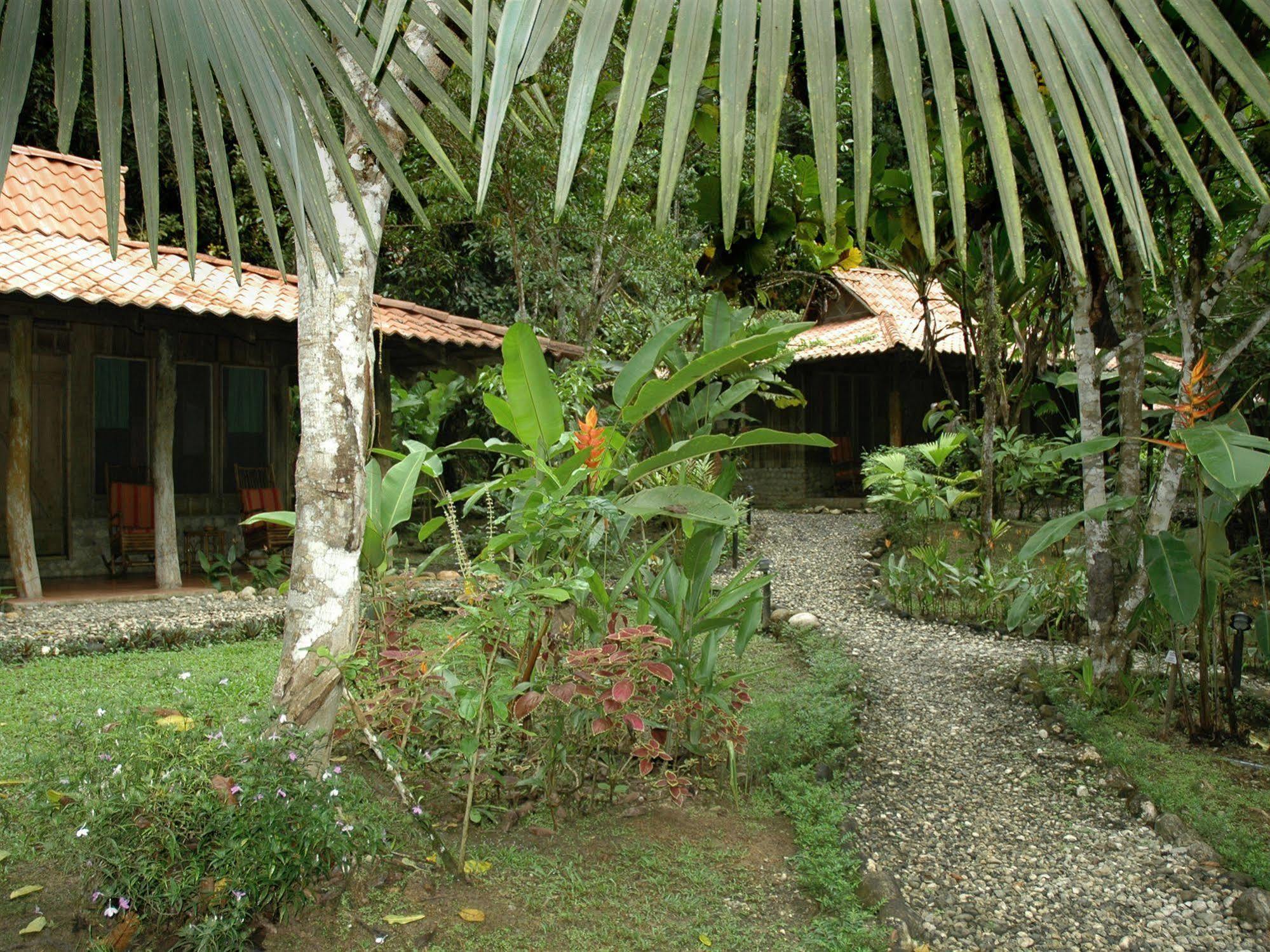 Esquinas Rainforest Lodge Golfito Eksteriør billede