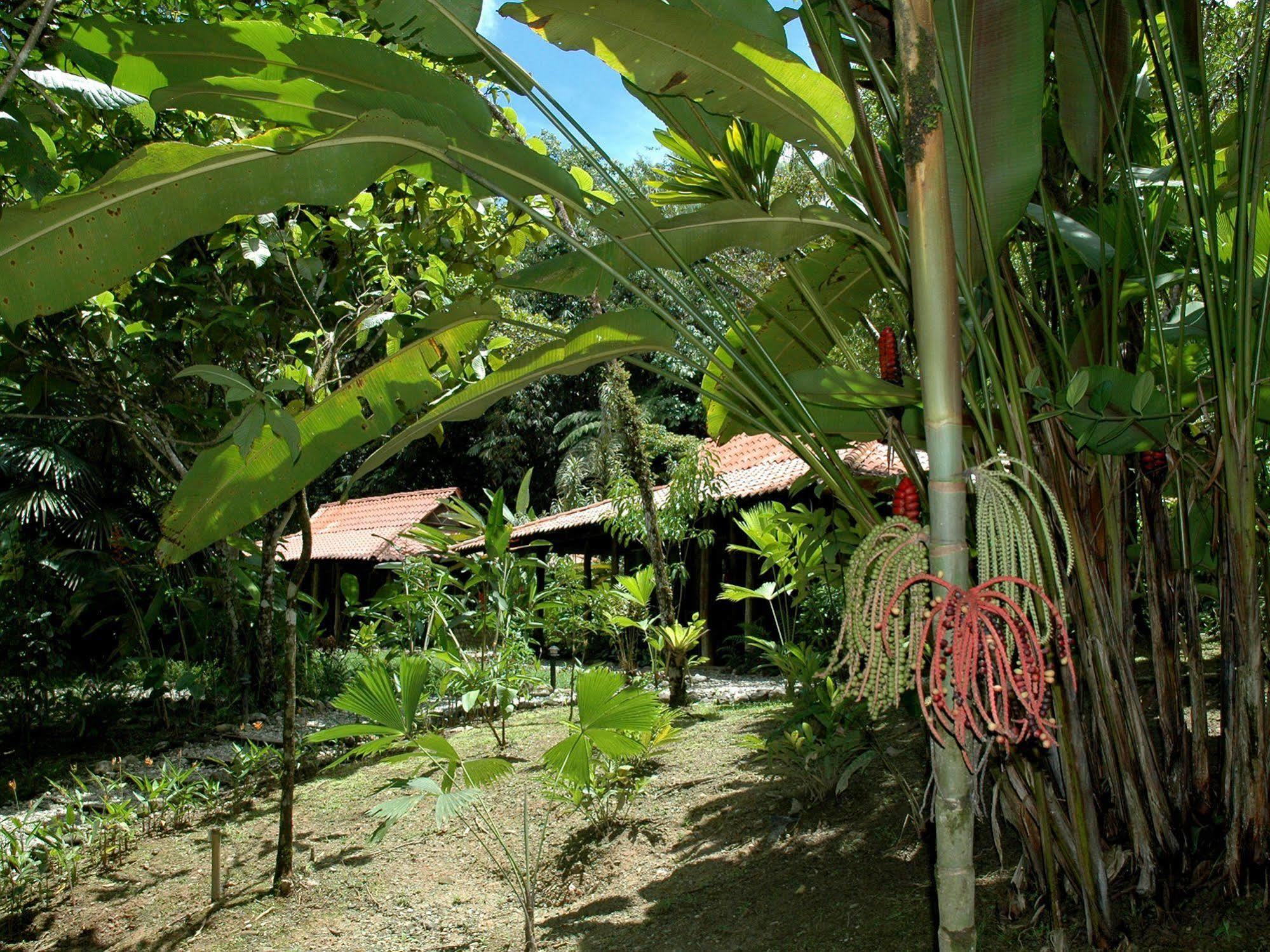 Esquinas Rainforest Lodge Golfito Eksteriør billede